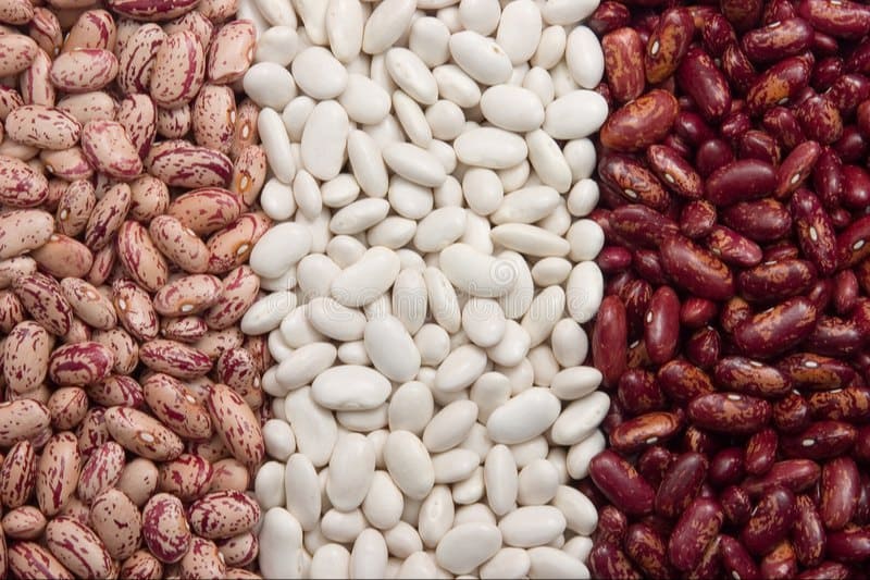 Kidney and Red Beans